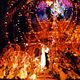 Moulin Rouge