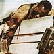 Photo - FILM - Predator 2 : 30784