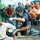 Photo - FILM - Bienvenue dans la jungle : 46372