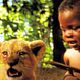 Photo - FILM - L'Enfant lion : 8029
