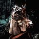 Star Wars : Episode VI - Le Retour du Jedi : photo George Lucas, Richard Marquand, Warwick Davis