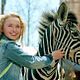 Photo Christophe L - FILM - Zig-Zag : 53890