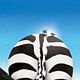 Photo Christophe L - FILM - Zig-Zag : 53890