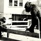 Photo - FILM - Koko, le gorille qui parle : 946