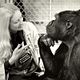 Photo - FILM - Koko, le gorille qui parle : 946