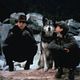 Comme chiens et chats - La Revanche de Kitty Galore : photo Brad Peyton, Jack McBrayer, Kevin Lima