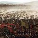 Photo Christophe L - FILM - Kingdom of Heaven : 54205