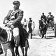 Photo - FILM - Zorba le grec : 43560
