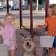 Photo Christophe L - FILM - Winn-Dixie mon meilleur ami : 55669