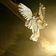 Angels in America : photo Emma Thompson, Justin Kirk