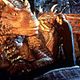 Photo - FILM - Coeur de dragon : 15286