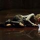 Photo - FILM - Silent hill : 54015