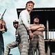 Photo - FILM - Le Reptile : 1277