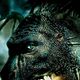Affiche (autres) - FILM - Eragon : 108625