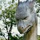 Eragon