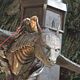 Photo Christophe L - FILM - Eragon : 108625