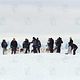 Antartica, prisonniers du froid : photo Frank Marshall