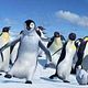 Photo Christophe L - FILM - Happy Feet : 52416