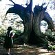 Photo - FILM - Le Labyrinthe de Pan : 57689