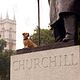 Photo Christophe L - FILM - Garfield 2 : 60513