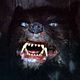 <b>Wolfgang Petersen</b> Photo : L'Histoire sans fin