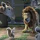 Photo Christophe L - FILM - The Wild : 57616