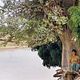 Photo Christophe L - FILM - Lili et le baobab : 44242