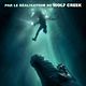 Affiche - FILM - Solitaire : 109188