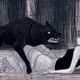 Peur(s) du noir