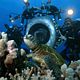 Photo - FILM - Deep sea 3D : 96426