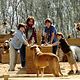 Photo - FILM - Evan almighty : 57129