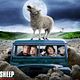 Black Sheep