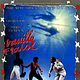 Affiche - FILM - Vanille fraise : 32013