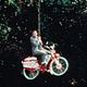 Photo - FILM - Pee Wee : 2576