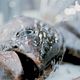 Photo - FILM - We Feed the World - le marché de la faim : 115438