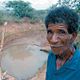 Photo - FILM - We Feed the World - le marché de la faim : 115438