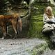 Survivre avec les loups