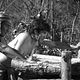 Photo Christophe L - FILM - La Leon : 127650