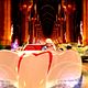 Speed Racer : photo Andy Wachowski, Lana Wachowski