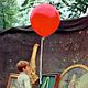 Photo - FILM - Le Ballon rouge : 131
