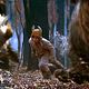 Photo - FILM - Where the wild things are : 54502
