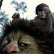Photo - FILM - Where the wild things are : 54502