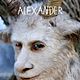 Affiche (autres) - FILM - Max et les maximonstres : 54502
