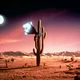 Photo Christophe L - FILM - Arizona Dream : 5733
