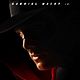 Affiche (autres) - FILM - The Spirit : 114805