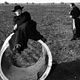 Photo - FILM - Il Bidone : 14