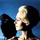 Les Oiseaux : photo Alfred Hitchcock, Tippi Hedren