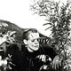 Photo - FILM - Frankenstein : 6038