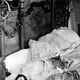 Nana : photo Catherine Hessling, Jean Renoir