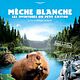 Affiche - FILM - Mèche Blanche, les aventures du petit castor : 125325